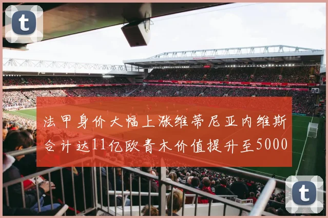 法甲身价大幅上涨维蒂尼亚内维斯合计达11亿欧青木价值提升至5000万