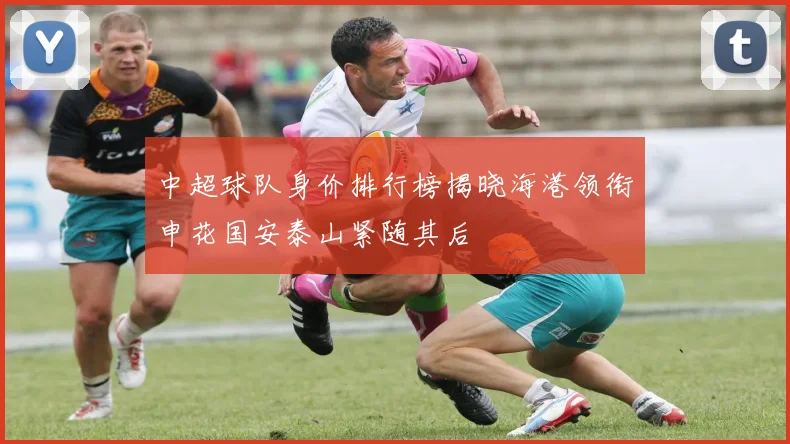 中超球队身价排行榜揭晓海港领衔申花国安泰山紧随其后