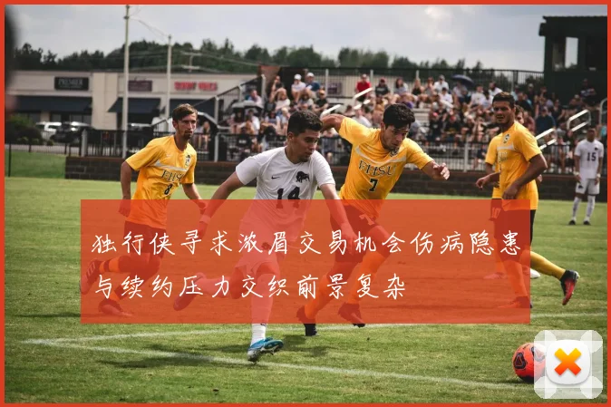 独行侠寻求浓眉交易机会伤病隐患与续约压力交织前景复杂